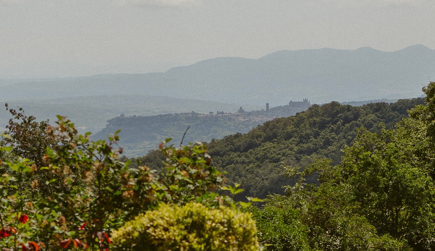 orvieto-view